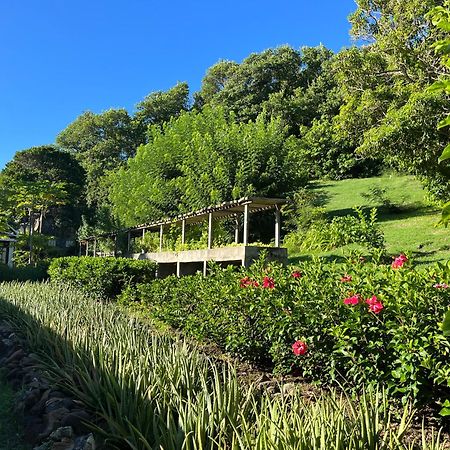 Готель Firefly Estate Bequia Crescent Beach Екстер'єр фото