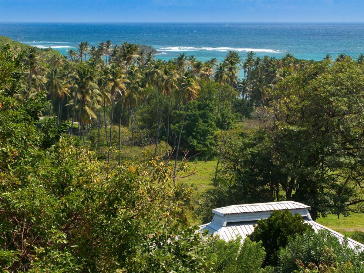 Готель Firefly Estate Bequia Crescent Beach Екстер'єр фото