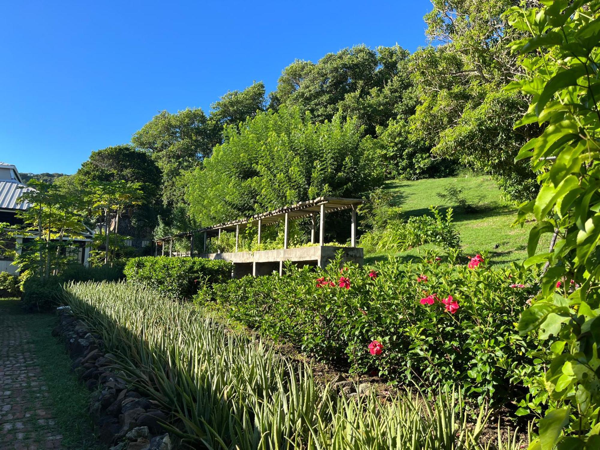 Готель Firefly Estate Bequia Crescent Beach Екстер'єр фото