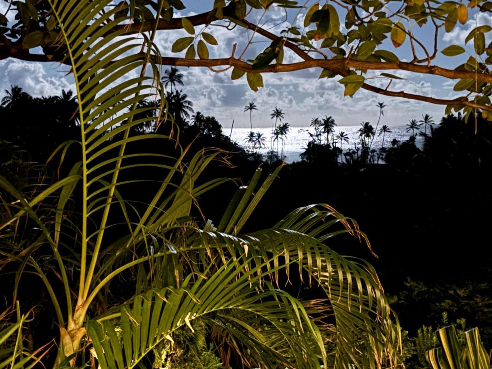 Готель Firefly Estate Bequia Crescent Beach Екстер'єр фото