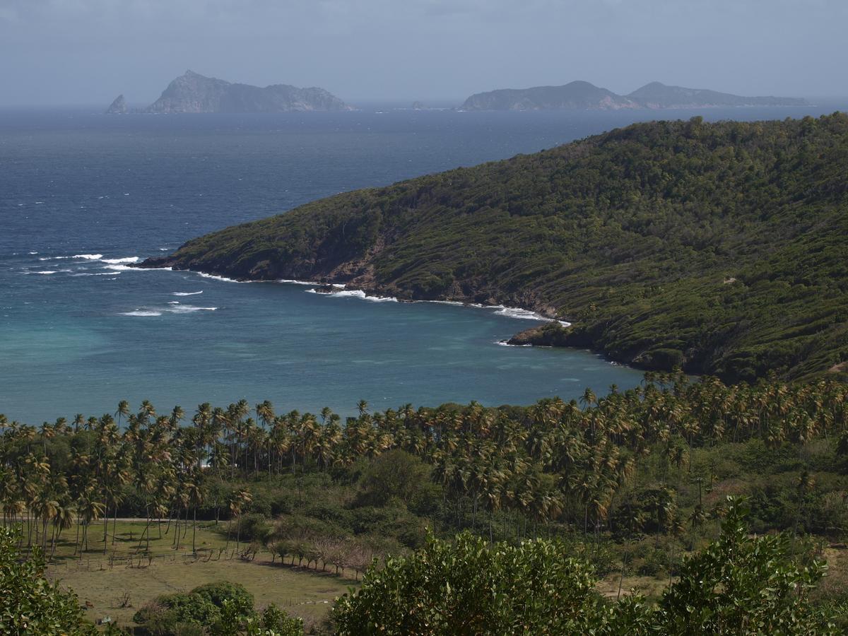 Готель Firefly Estate Bequia Crescent Beach Екстер'єр фото