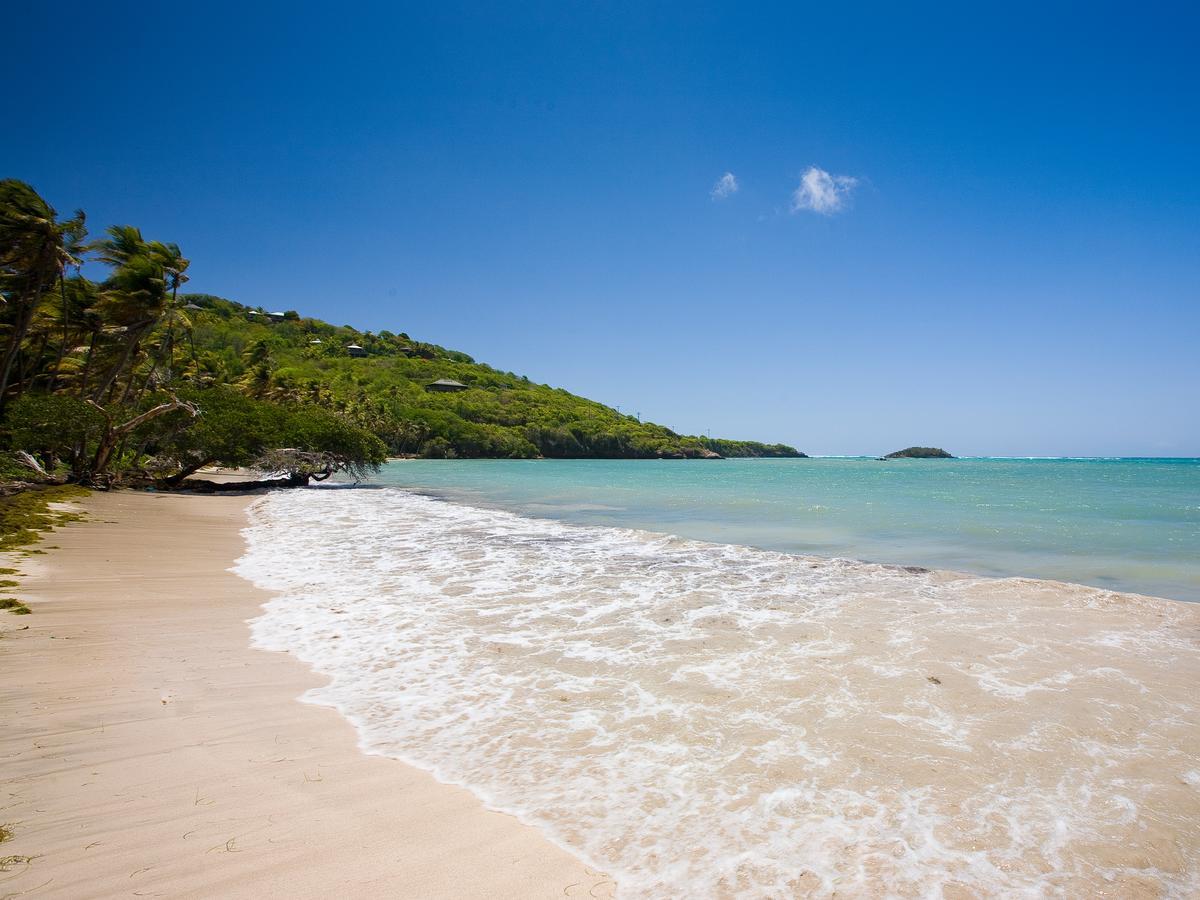 Готель Firefly Estate Bequia Crescent Beach Екстер'єр фото