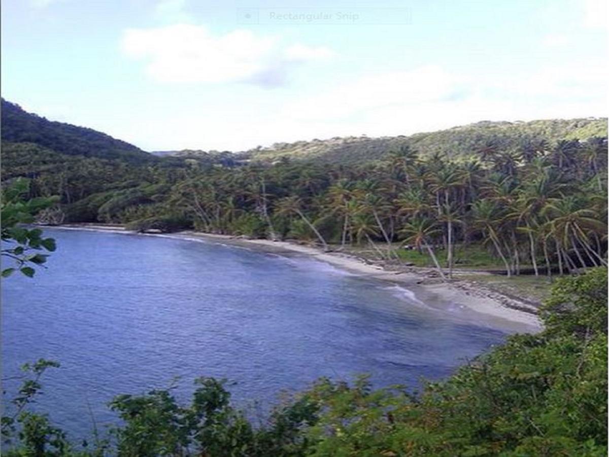 Готель Firefly Estate Bequia Crescent Beach Екстер'єр фото