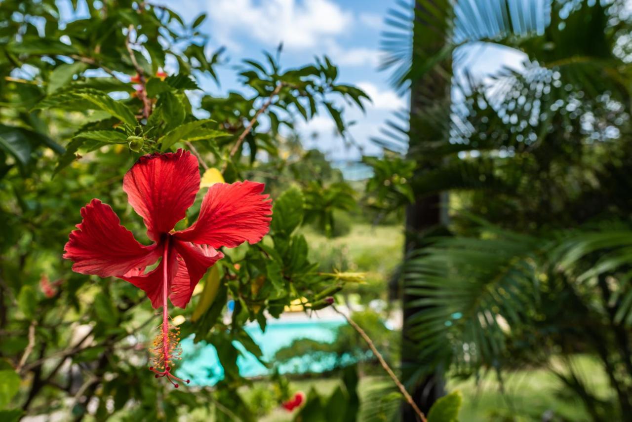 Готель Firefly Estate Bequia Crescent Beach Екстер'єр фото