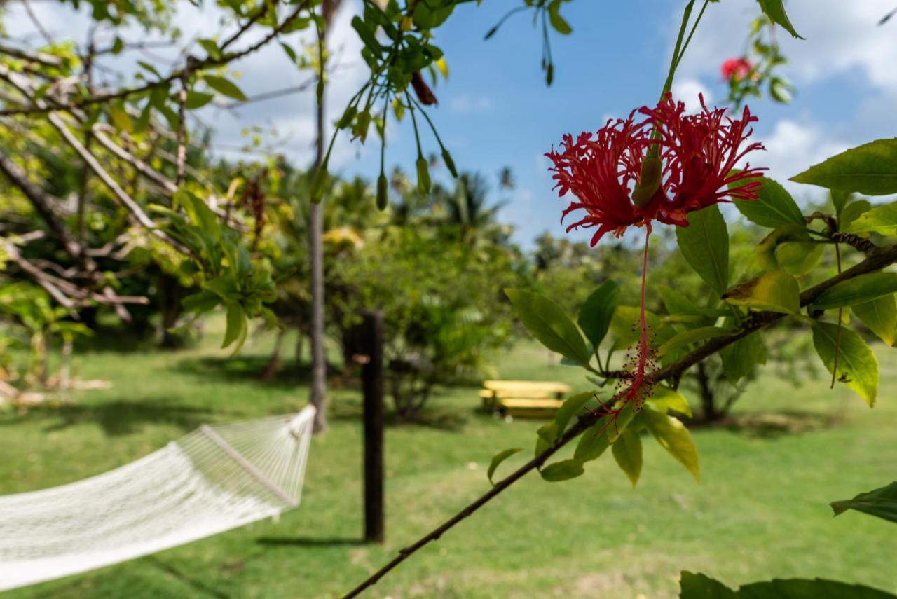 Готель Firefly Estate Bequia Crescent Beach Екстер'єр фото